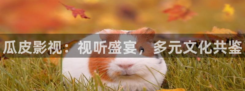 日韩樱桃视频在线观看