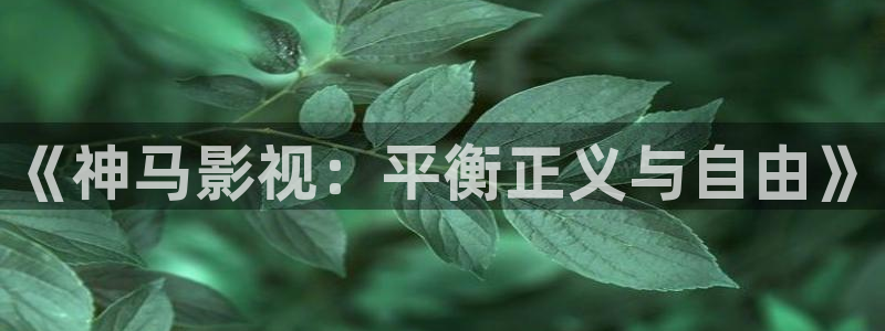 樱桃视频 在线观看