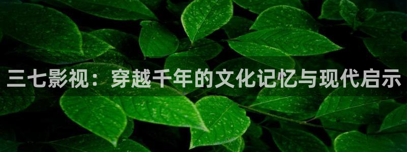 樱桃小视频在线观看